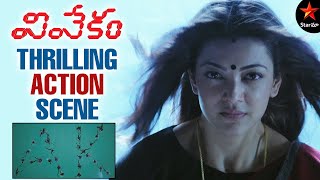 Thrilling Action Scene | Vivekam Full Movie | Ajith | Kajal Aggarwal | Star Maa