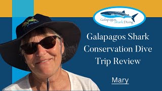 Mary's Review of Galapagos Dive Liveaboard Experience: Whale Shark Diving with a Purpose