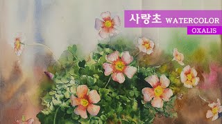 사랑초, 예쁜 화초를 수채화로 그리기 _ 직녀아씨의 취미 수채화