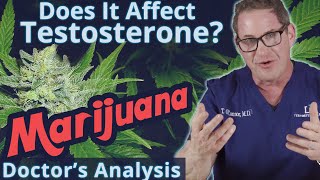 Does Marijuana Affect Testosterone? Doctor's Analysis