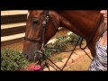 How To Recognize The Parts Of A Bridle