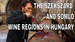 Hungarian Wine: Exotic Wine Travel in Szekszárd \u0026 Somló