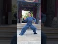 tai chi 太极拳的拳法，犹如生活的哲理，慢慢品味，才能感悟到其中蕴含的 养生智慧与人生真谛 taichi kungfu taichiquan 功夫 太极 martialarts