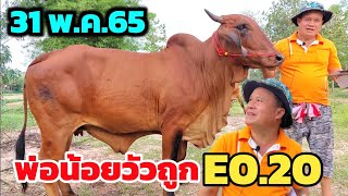 พ่อน้อยวัวถูก EP.20 | 31 พ.ค.65| ทีเด็ดพ่อน้อย จัดมาให้เลือกถูกๆ ทั้งแม่ลูกและวัวท้อง ขำๆฮาๆเช่นเคย