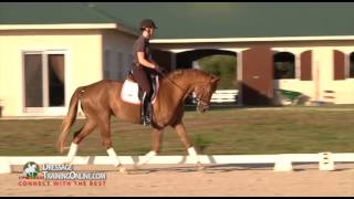 Catherine Haddad teaching proper contact and riding basics of young horse