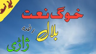 Pashto Naat | Bilal Jareegee | Pashto new Naat 2020 | پشتو نعت شریف