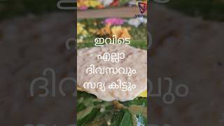 ഇവിടെ എല്ലാ ദിവസവും സദ്യ കിട്ടും...#vibisvlog #foodlover #trivandrum #foodie  #trivandrumfoodies