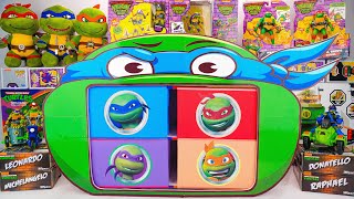 Teenage Mutant Ninja Turtles Unboxing | Leonardo Ninja Teeth Box | Toys Compilation ASMR