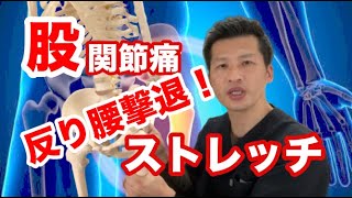 股関節痛や反り腰を治す為に必ず必要なストレッチ 福岡県福岡市「慢性腰痛」専門整体院 帆花 HONOKA