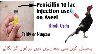 penicillin 10 lac injection use Aseel |penicillin ka murgo per istimal or faidy  | Asil antibiotics