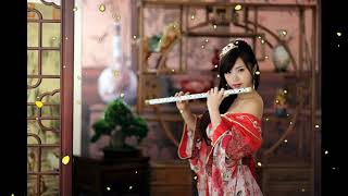 Beautiful Chinese music Instrument -  Endlesslove 10 different songs