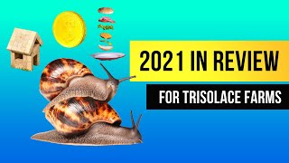 Trisolace Snails Company  Kwahu and Ghana 2021 IN REVIEW