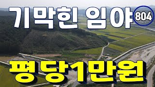 추천 예쁜 시골 가성비 토지 임야 산 매매 부동산 웅장한 숲 최고의 뷰 전망 힐링 일상 프리미엄 풍경 모던 품 놀라운 숲속 산속 터 아름다운 자연의 산촌 생활 땅땅 땅매매 절경