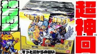 【超神回】神羅万象チョコ「箱の中全部一気に開封します！」幻双竜の秘宝