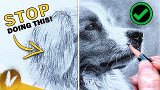 Key Components Of Fur - Drawing Realistic Fur Tutorial | How To Draw Fur Step By Step Do’s & Don’ts