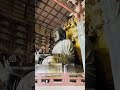 todaiji temple great buddha statue 東大寺盧舎那仏像