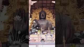 Todaiji Temple Great Buddha Statue 東大寺盧舎那仏像