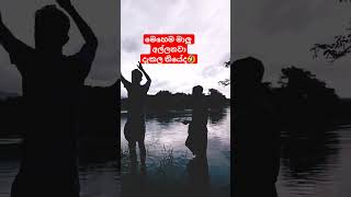 මෙහෙමත් මාලු ඇල්ලිල්ලක් 🤣🤣 |srilanka 🇱🇰 | @SobaSrilanka95 #shorts #fishing #viral ##youtube