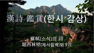 [지식 천하 : 漢詩 감상] 蘇軾(소식)의 詩 (題西林壁(제서림벽)외 9首)