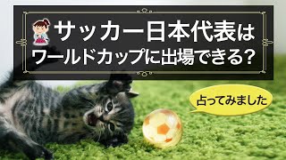 【タロット占い】サッカー日本代表はワールドカップに出場できるでしょうか？