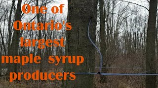 MAPLE SYRUP TOUR,  ONE OF ONTARIO'S LARGEST!!!