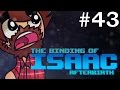 The Binding of Isaac: Afterbirth - Episode 43 - PRIDE DAY CHALLENGE