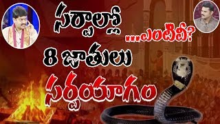 పాము పగపడితే అమెరికా వెళ్లి కాటేస్తదా  | Astrologer Tejaswi Sharma Analysis On Snakes Revenges  10TV