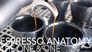 ESPRESSO ANATOMY - The One \u0026 One