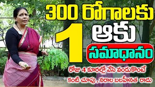 రోజు 2 తింటే మోకాళ్ళ నొప్పులు, నరాల బలహీనత, బీపీ, షుగర్, ఏ రోగం రాదు | Knee Pain Relief | Aruna Yoga