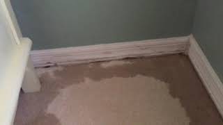 Water leak between bathroom and bedroom wall...not a good situation.