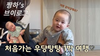 짱하의 일상VLOG(1박2일 | 증평벨포레 | 증평맛집 | 6개월아기 | 육아브이로그)