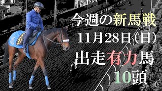 【新馬戦】ディープ産駒対決で国枝＆ルメールVS堀＆ムーアが実現！11月28日(日)の新馬戦に出走予定の有力2歳馬を10頭紹介します！【pog21-22】