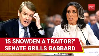 Trump Intel Czar Tulsi Gabbard Vs Michael Bennet: Shouting Match In US Senate Over Snowden