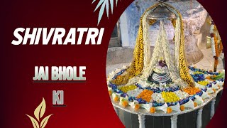 shivratri per tapkeshwar mandir m itna badha aayojan|#shivratrispecial#dailyvlogs #viralvide #bhole