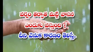 Why Does Soil Smell After Rain People Like Plants Action - వర్షం తర్వాత మ‌ట్టి వాసన ఎందుకు వస్తుంద