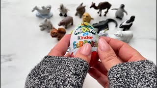 ASMR~🦁Unboxing Kinder Surprise NATOONS💖✨