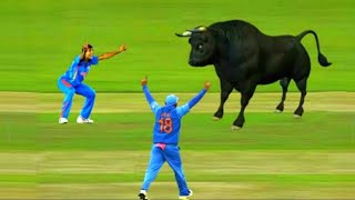 Cricket history के सबसे rare funniest moments|funny cricket moments