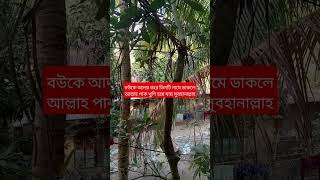 বউকে আদর করে যে তিনটি নামে ডাকলে আল্লাহ খুশি হয় #shortsfeed #shorts #trending #fyp #facts #dua #yt