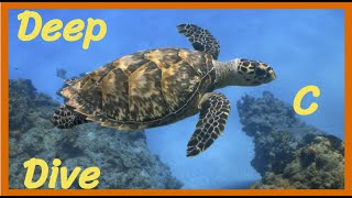 Implementing iscntrl - Deep C Dive - s0e5