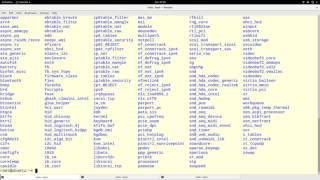 Modifying Linux Kernel Module Parameters
