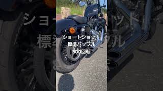 バンス\u0026ハインズ　ショートショット　標準バッフル　instagram🆔xl1200x.ken.z900rs