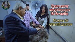 বিড়াল দেশের বাইরে নিতে হলে | পাসপোর্ট কি প্রয়োজন || Sabrina Mishti.