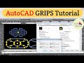 AutoCAD Tutorial For Beginners - AutoCAD Grips Settings | AutoCAD Grips command | Grip options