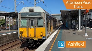 Transport for Sydney Vlog 560: Ashfield Part 3 - Afternoon Peak Trains