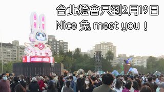 台北燈會只到2月19日，Nice 兔 meet you！ 2023台灣燈會在台北，光源台北