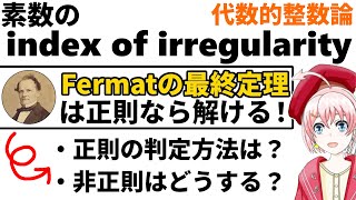 【Fermatの最終定理】素数のindex of irregularity【代数的整数論】