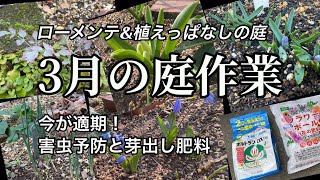 【３月の庭作業】今やる作業はこれ/内窓diyのその後♪