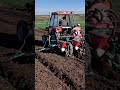 setva kukuruza 2024 imt 539 u0026 agria subotica sowing corn