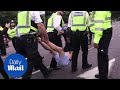 Police carry Extinction Rebellion protesters from Tower Bridge