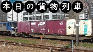 【本日の貨物列車】No.373　2021,7,25　第1059番列車　Today‘s freight train